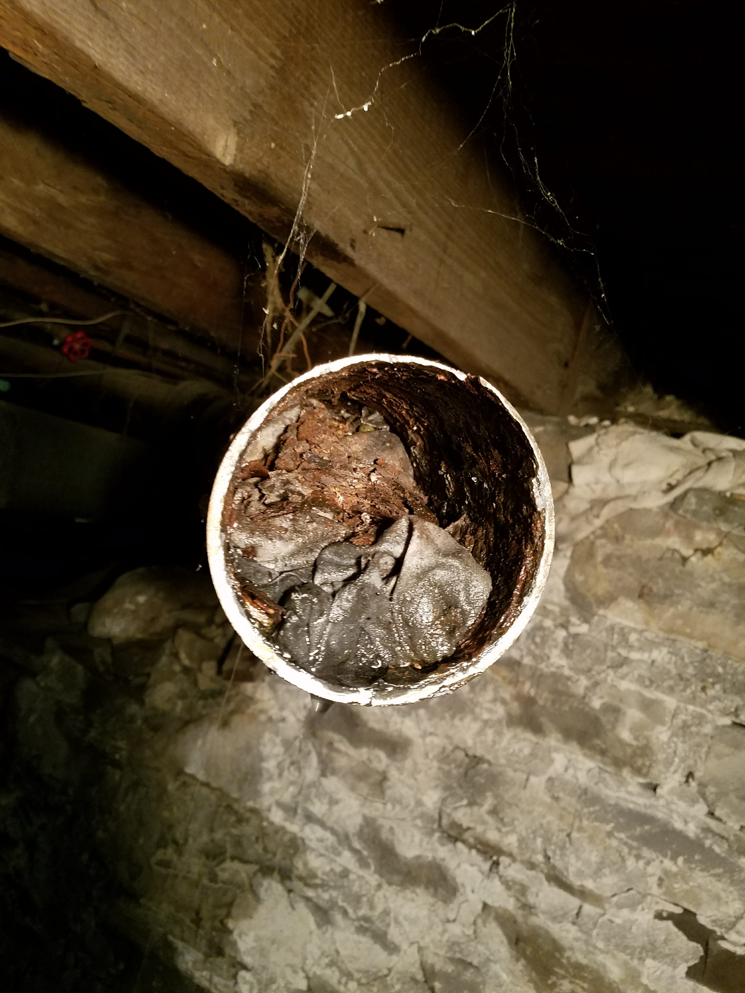 Drain Cleaning